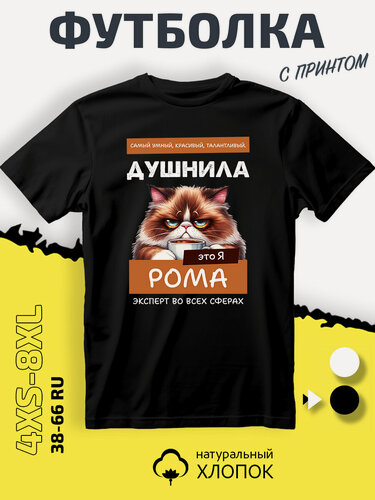 Изображение товара Футболка Рома Роман душнила