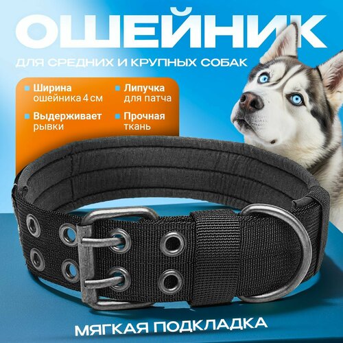 Ошейник для собак крупных и средних пород с подкладкой и местом для патча, размер M, черный