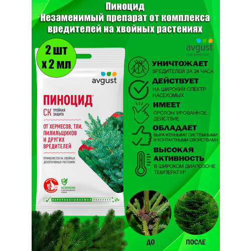 фото Незаменимый препарат от комплекса вредителей на хвойных растениях пиноцид avgust, 2 мл