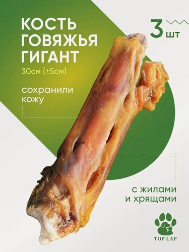 Изображение товара Кость говяжья с жилами и хрящами в коже долгоиграющее лакомство для собак 3 шт
