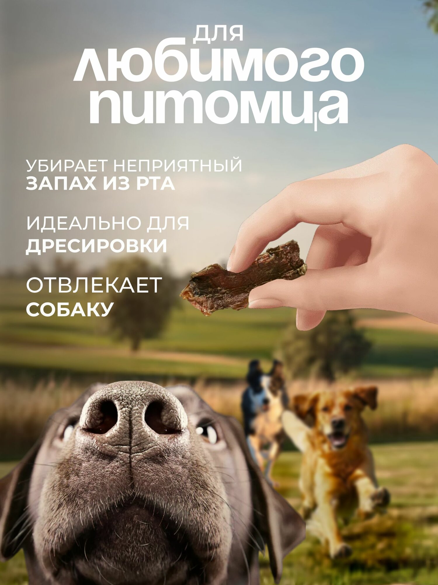 Лакомство для собак - Пищевод сушёный прямой, 100 гр — фото 1