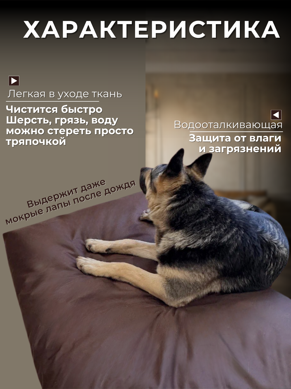 Лежанка антивандальная со съёмным чехлом, для кошек и собак крупных пород, 120х80х10см — фото 1