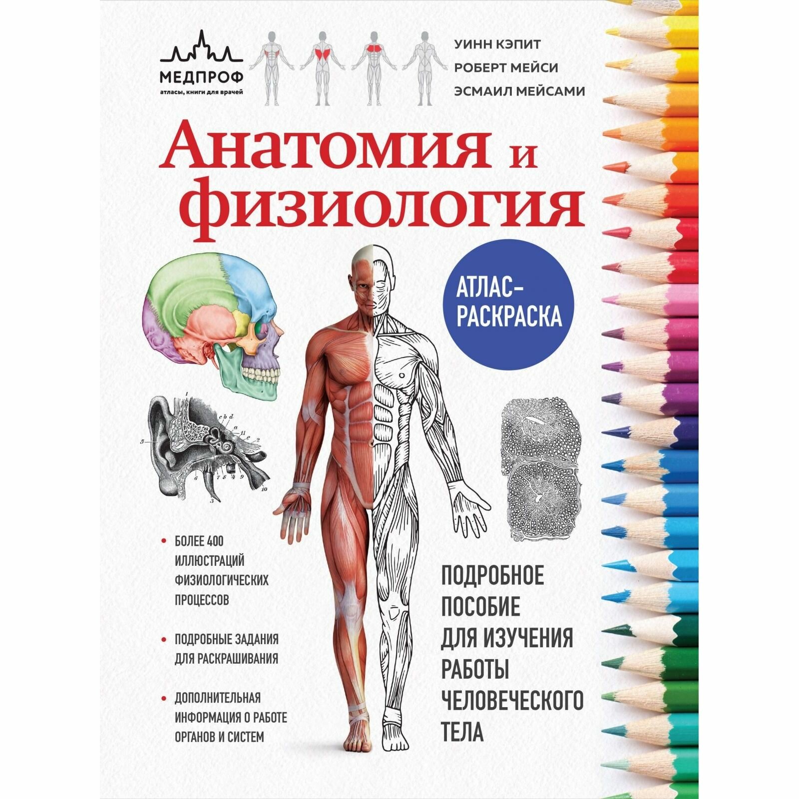 Атлас-раскраска ЭКСМО Анатомия и физиология. Кэпит У, Мейси Р, Мейсами Э, 348 стр, 2023 г.