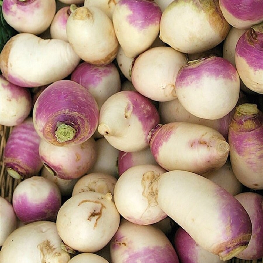Семена Deodar SEEDS COMPANY Турнепс Остерзундомский 50 шт.