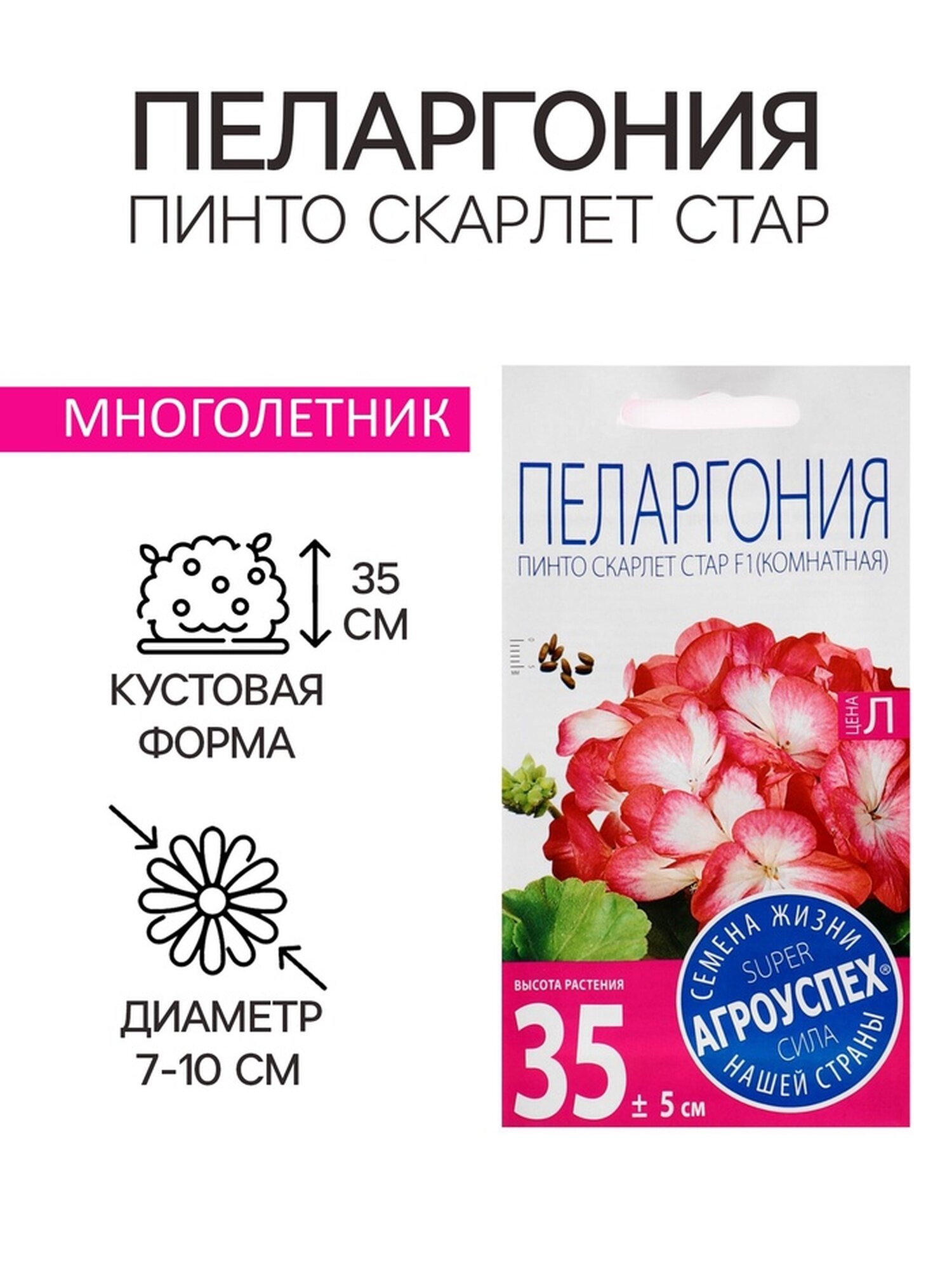 Семена цветов Пеларгония 