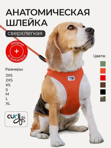 Изображение товара Шлейка для собак мелких и средних пород Curli AirMesh анатомическая, оранжевый