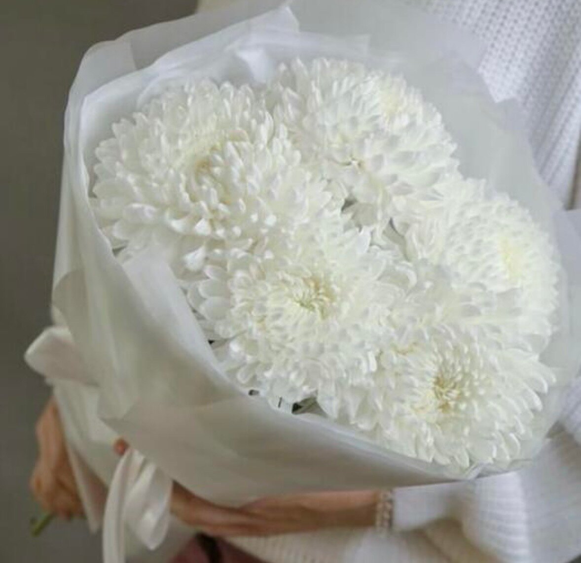 Монобукет «Воздушное облачко» (белые пышные хризантемы 5 штук)
