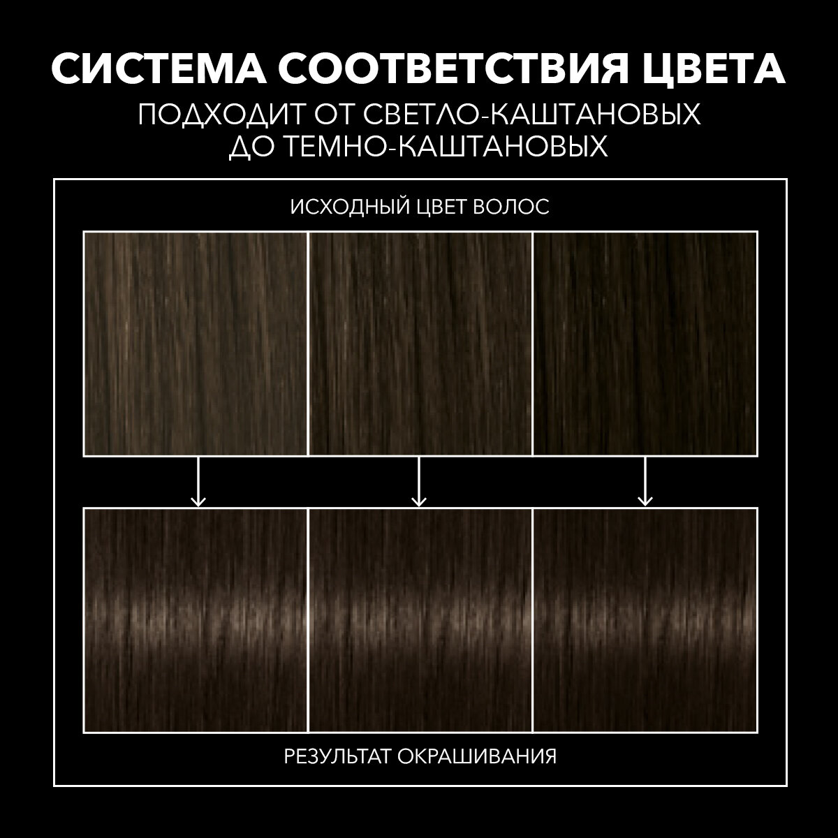 Краска для волос Syoss 12-0 Интенсивный осветлитель, 115 мл - фото №3