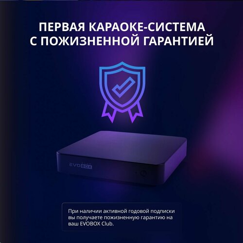 Караоке-система EVOBOX Club черный