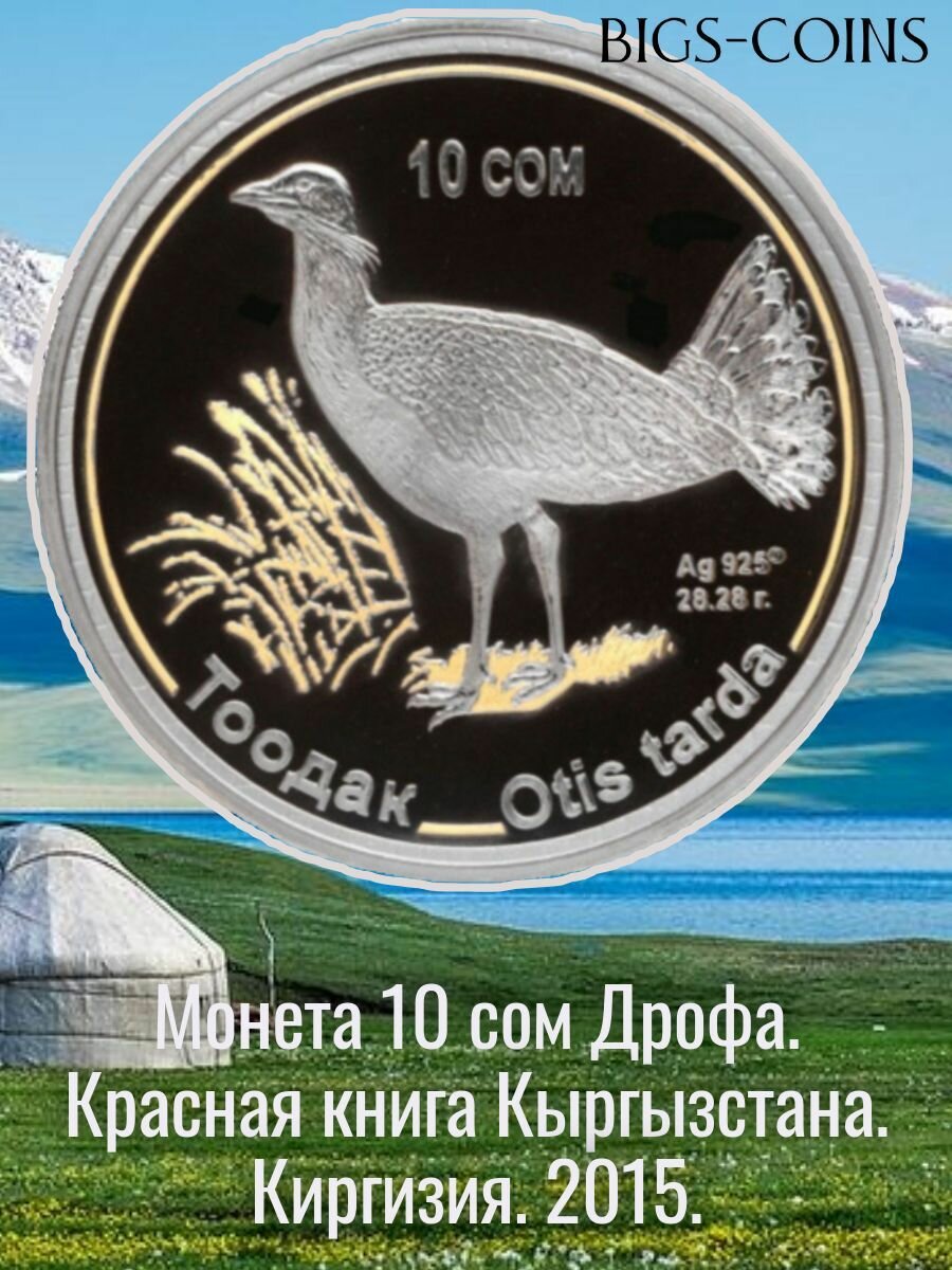 Монета 10 сом Дрофа в капсуле. Киргизия 2015 год.