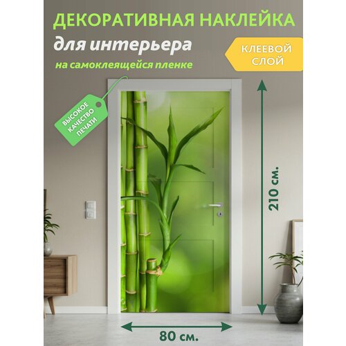 фото Росток бамбука : декоративная наклейка, 210х80 см solartek