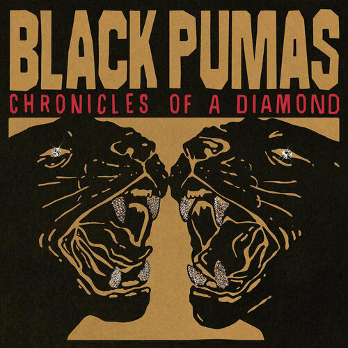 Виниловая пластинка Black Pumas. Chronicles Of A Diamond. Clear (LP)