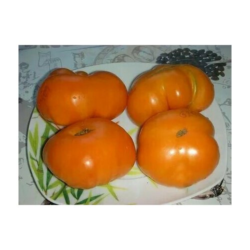 Коллекционные семена томата Ярсон 13