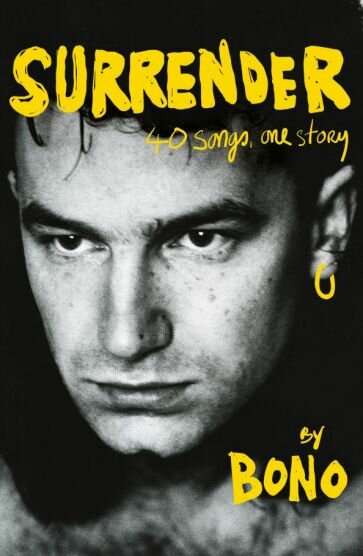 Surrender. 40 Songs, One Story - фото №1