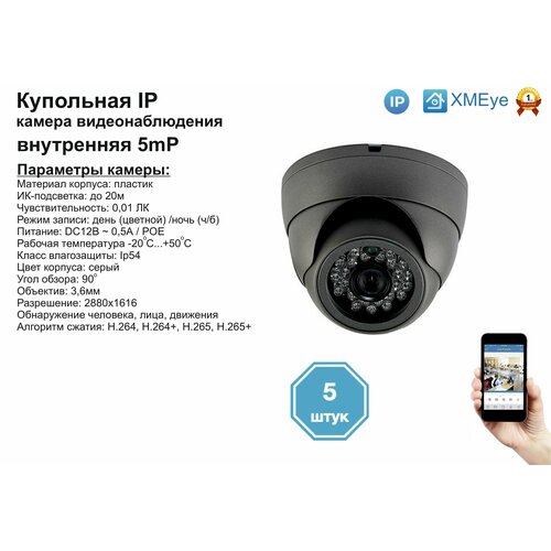 5шт DVS300IP5MPPOE Внутренняя IP камера 5мП с ИК до 20м 1710000₽