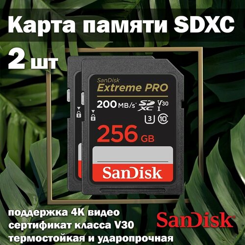 карта памяти sandisk extreme pro v30 sdxc 1tb 2 шт Карта памяти SanDisk Extreme PRO V30 SDXC 256GB 2 шт.