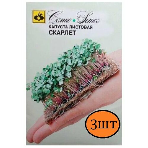 Семена Капуста Скарлет микрозелень Семко 3шт семена микрозелень капуста кале 2 упаковки