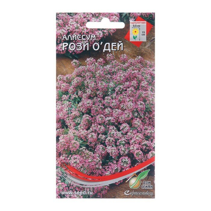Семена цветов Алиссум "Рози О Дей", 180 шт
