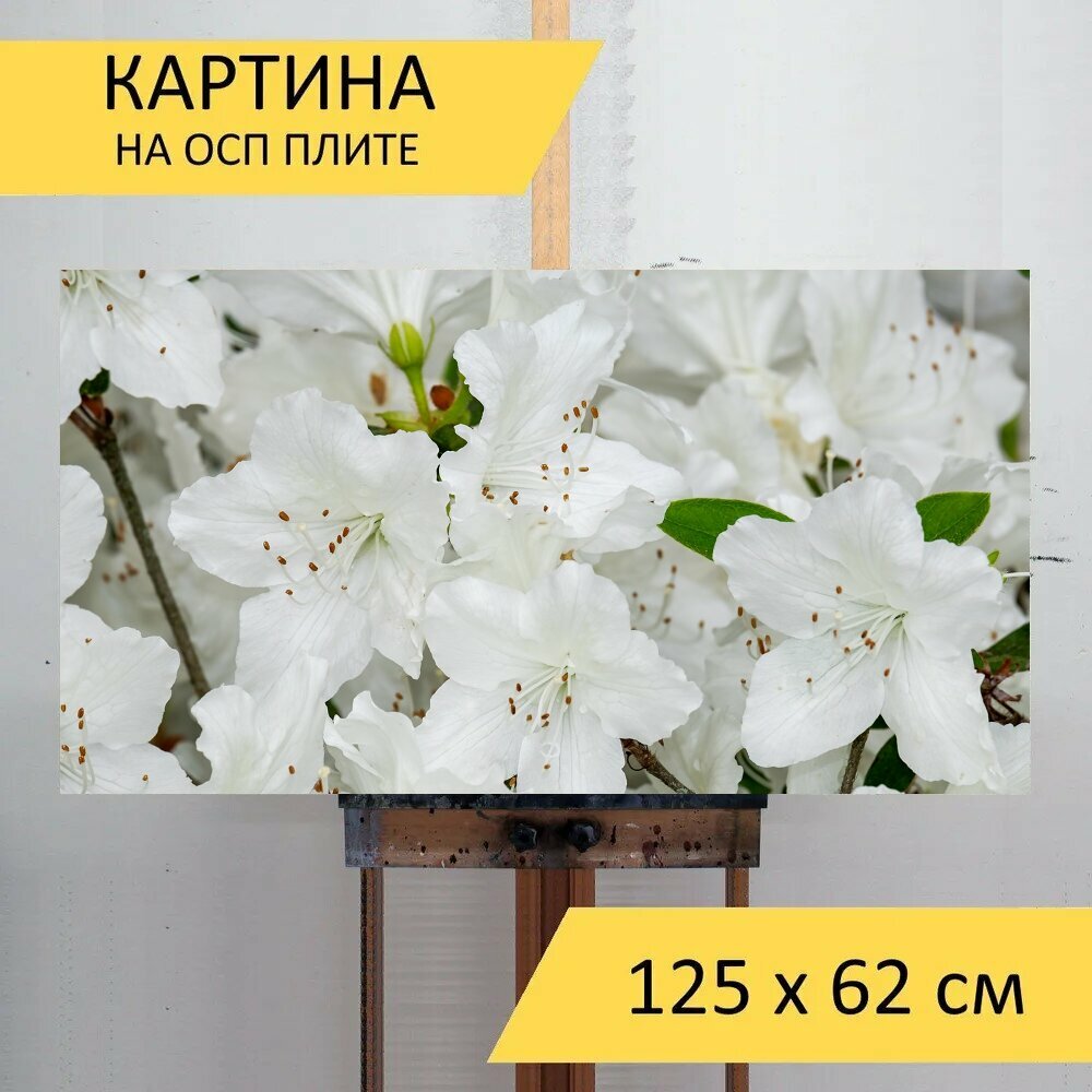 Картина на ОСП 125х62 см. 