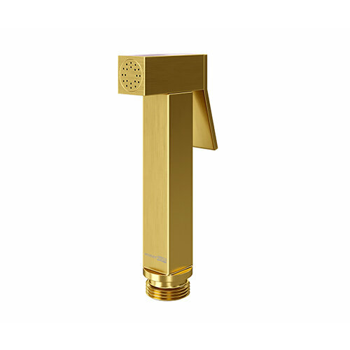 Aisch A213 Гигиеническая лейка с фиксатором WasserKRAFT PVD-покрытие матовое золото