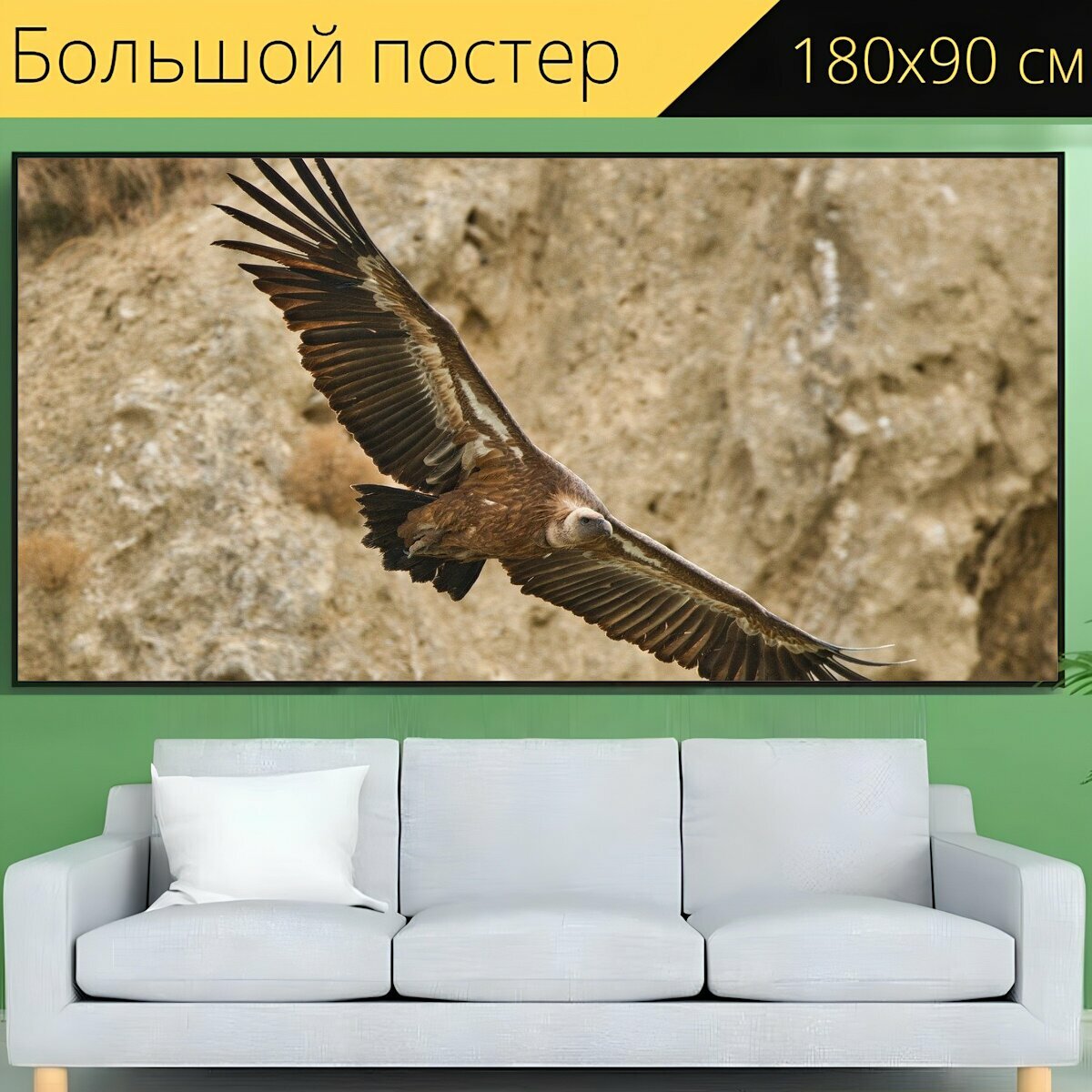 Большой постер "Стервятник, птица, летающий" 180 x 90 см. для интерьера
