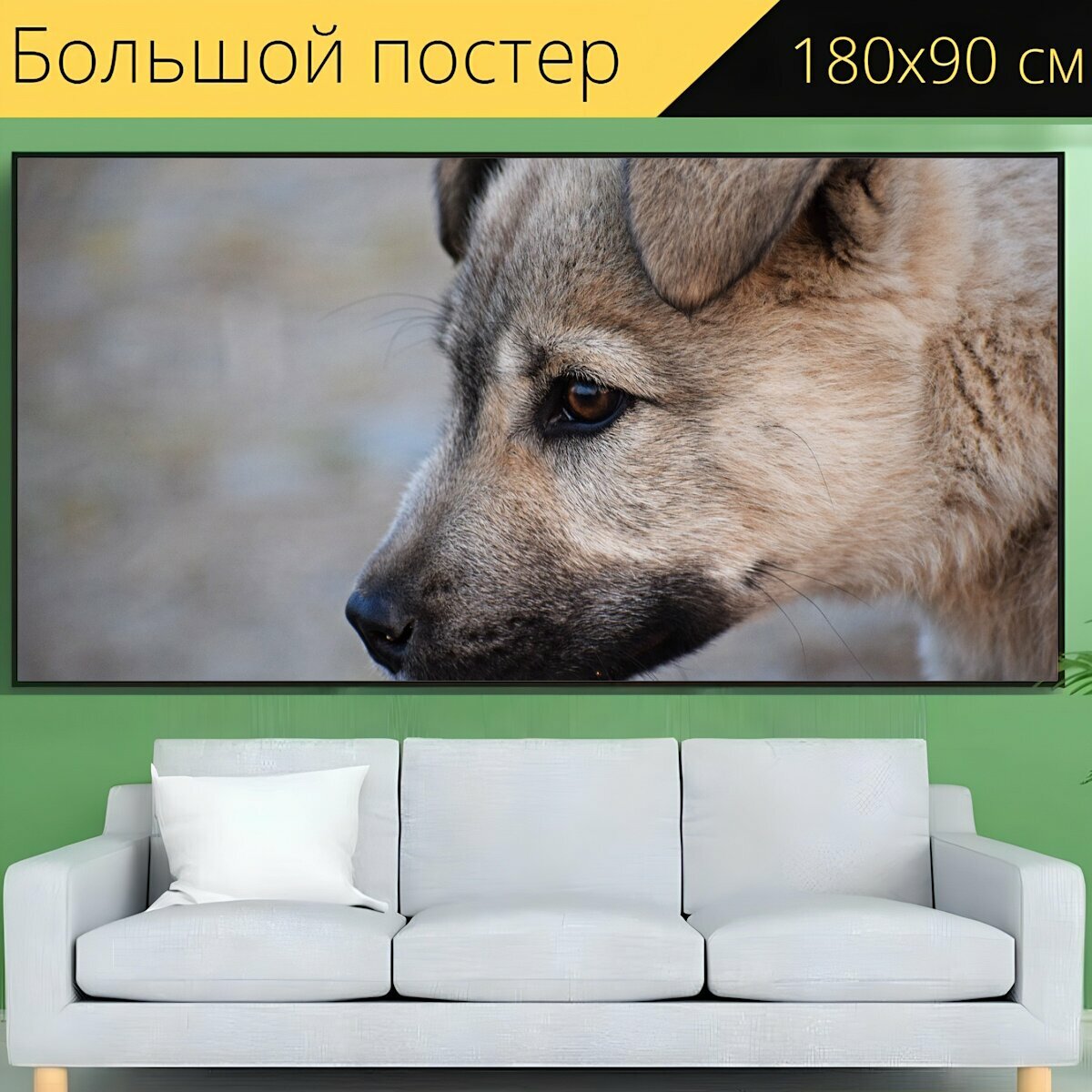 Большой постер "Щенок, собака, домашний питомец" 180 x 90 см. для интерьера