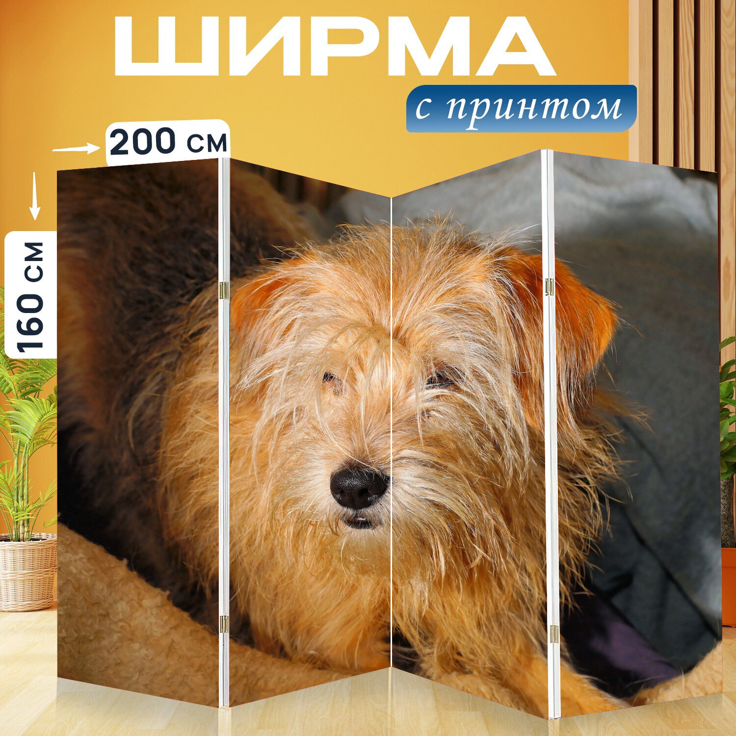 Ширма перегородка с принтом "Собака, домашнее животное, гибридный" на холсте - 200x160 см. для зонирования, раскладная