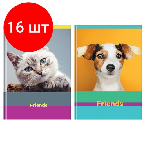 Комплект 16 шт, Бизнес-блокнот А5, 80л, BG Friends, глянцевая ламинация комплект 11 шт бизнес блокнот а5 80л bg travel story глянцевая ламинация