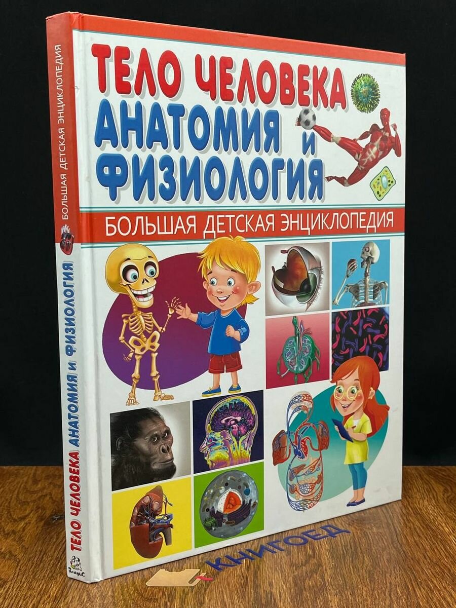 Тело человека. Анатомия и физиология 2016