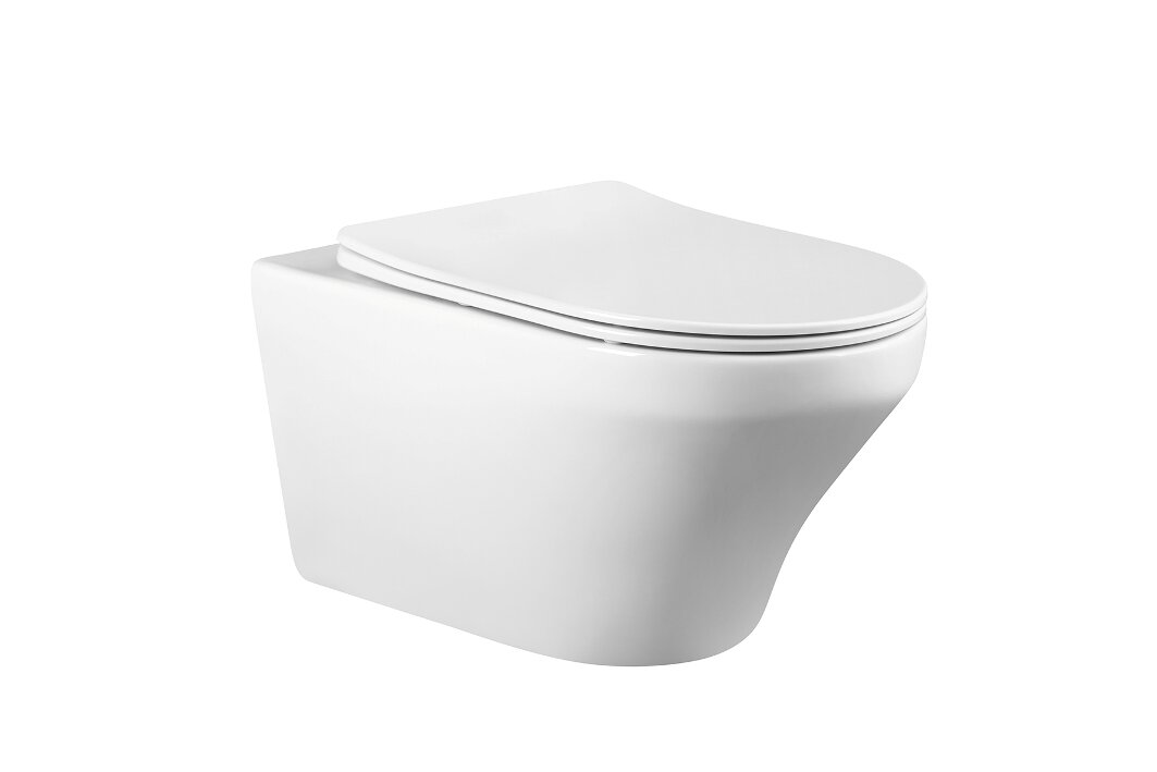 фото FRANZ D RIMLESS Безободковый подвесной унитаз CHARUS, EWC700-124W, Белый, Сантехнический фаянс