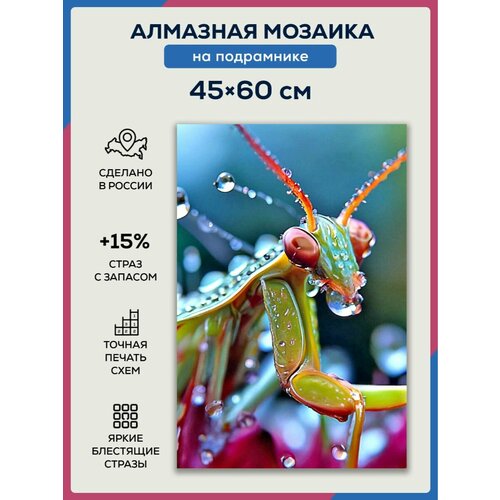 Алмазная мозаика 45x60 Кузнечик на подрамнике алмазная мозаика 45x60 краб на подрамнике