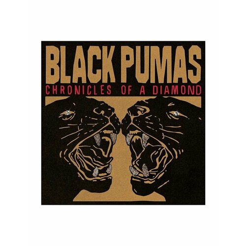 Виниловая пластинка Black Pumas, Chronicles Of A Diamond (coloured) (5400863146160) black pumas виниловая пластинка black pumas chronicles of a diamond red