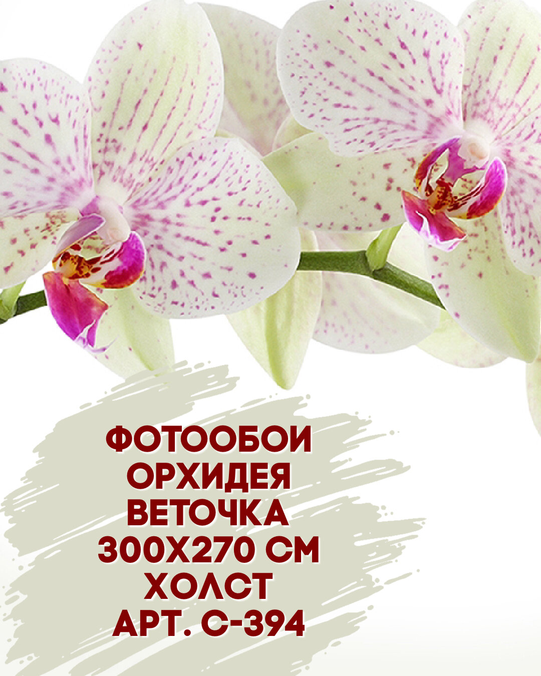 Фотообои DIVINO Орхидея веточка 300х270 холст