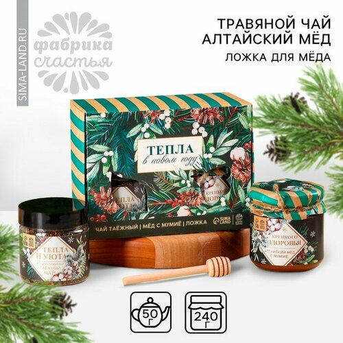 Подарочный набор «Тепла в новом году»: алтайский мёд с мумиё 240 г, ягодно-травяной чай 50 г, ложка для мёда