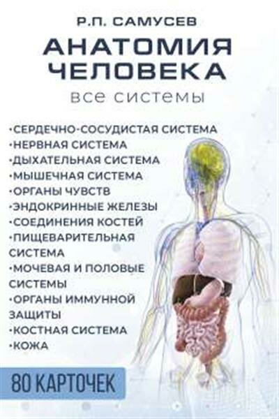 Анатомия человека. 80 карточек - фото №5