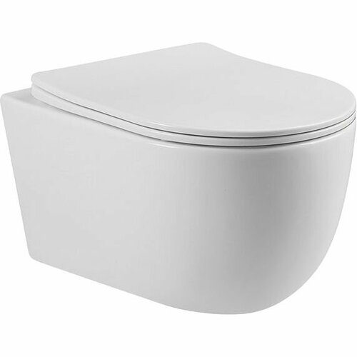 Унитаз подвесной BOND Oval F10-10, безободковый, с микролифтом