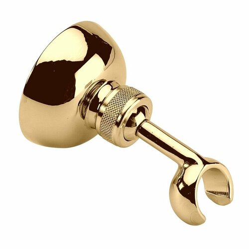 Держатель душевой лейки Webert AC0439010 золото 7230₽