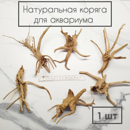 Натуральная коряга для аквариума 15-20 см (1 шт)