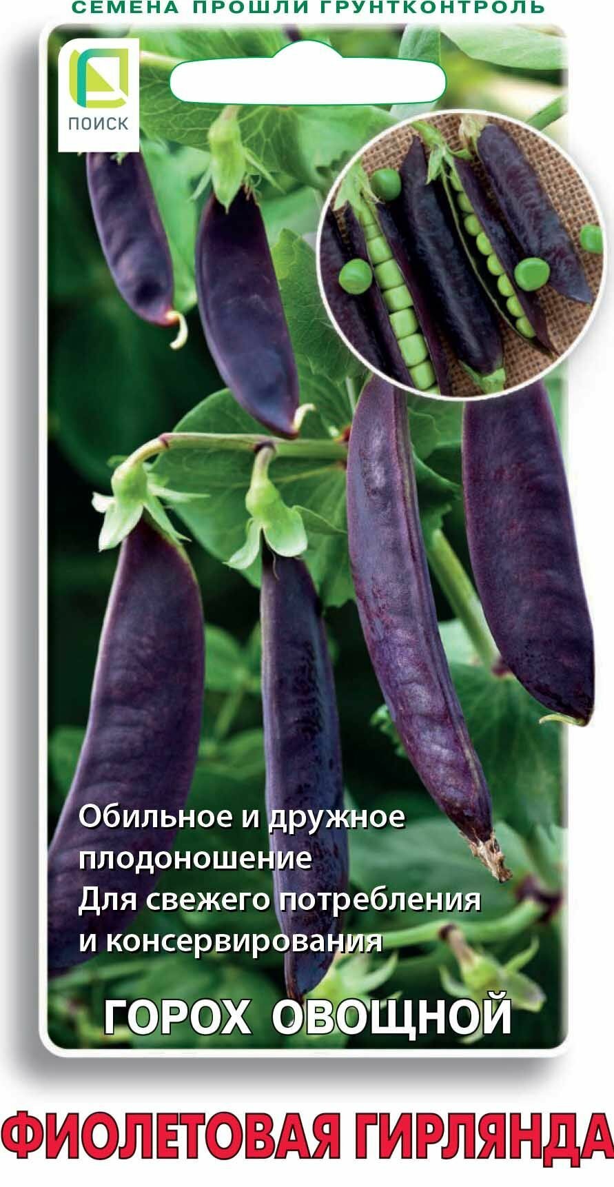 Горох овощной Фиолетовая гирлянда