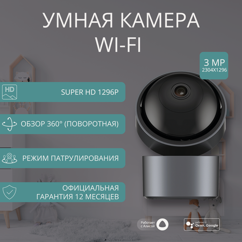 Изображение товара Умная поворотная камера видеонаблюдения ROXIMO RHC201 Wi-Fi 2.4+5ghz с Алисой