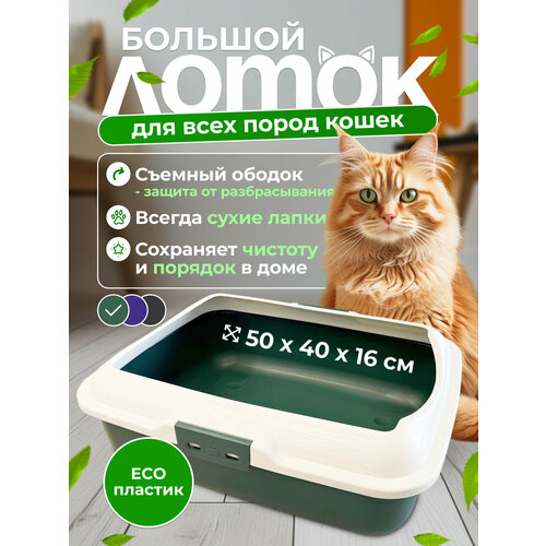 Высокий лоток с ободом "Чистый Котик", 50*40*16, зеленого цвета