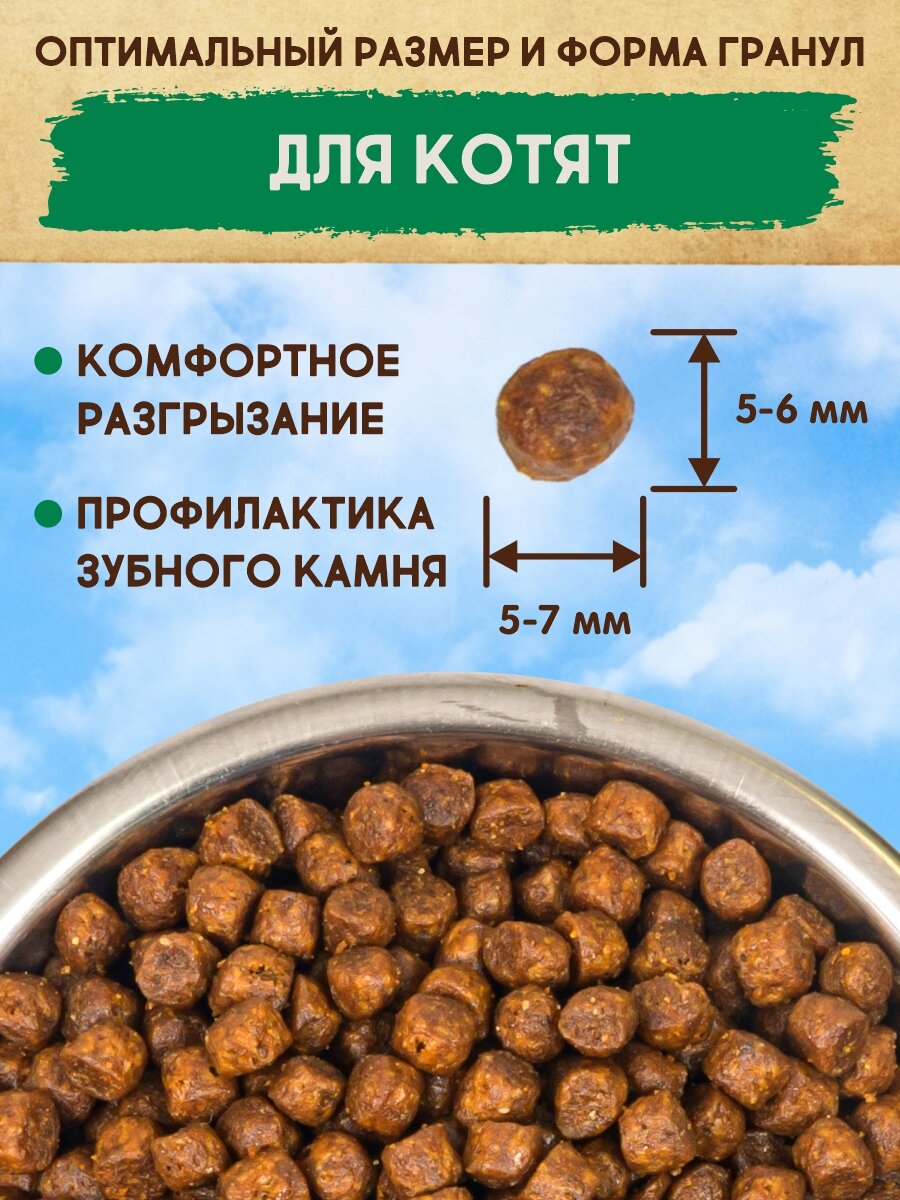 Корм для котят сухой кошачий премиум 400 г DEZZIE (Дэззи) Kitten, Курица с Индейкой — фото 1
