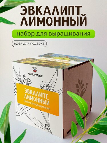 Изображение товара Набор для выращивания растений Сад на окне "Эвкалипт лимонный", в деревянном горшочке