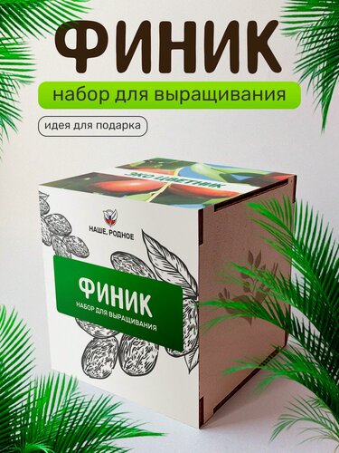 Изображение товара Набор для выращивания растений Сад на окне "Финиковое дерево", в деревянном горшочке