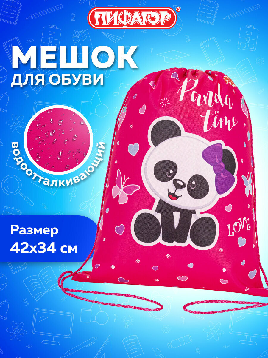 Сумка - мешок рюкзак для сменной обуви (сменки) Пифагор 1 отделение 42х34 см Panda time 271601