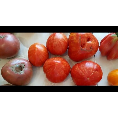 Коллекционные семена томата Мадьяр Пирос Бокер