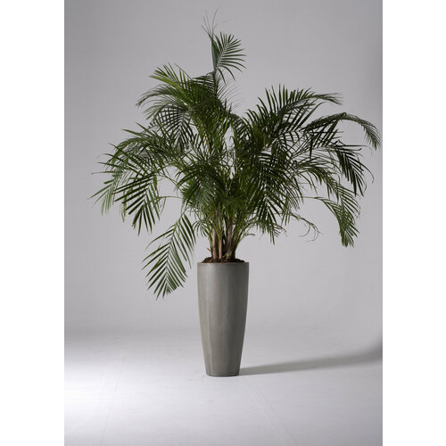 Вазон Summer set 3 19800₽