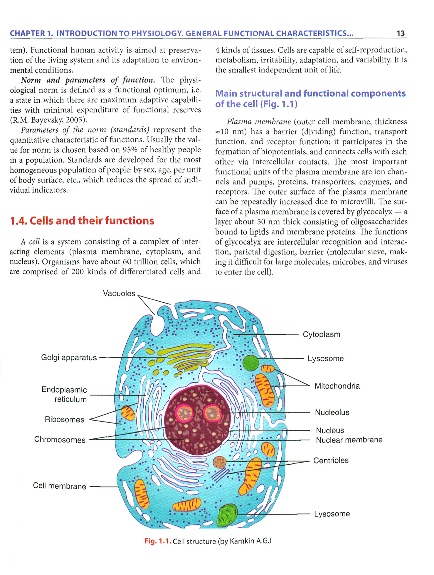 Normal Physiology = Нормальная физиология - фото №3