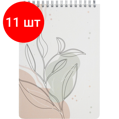 Комплект 11 штук, Блокнот 80л, клетка, А5 Flora 1, пласт. обл, серебр. спираль комплект 14 штук блокнот 60л клетка а6 flora 2 пласт обл серебр спираль