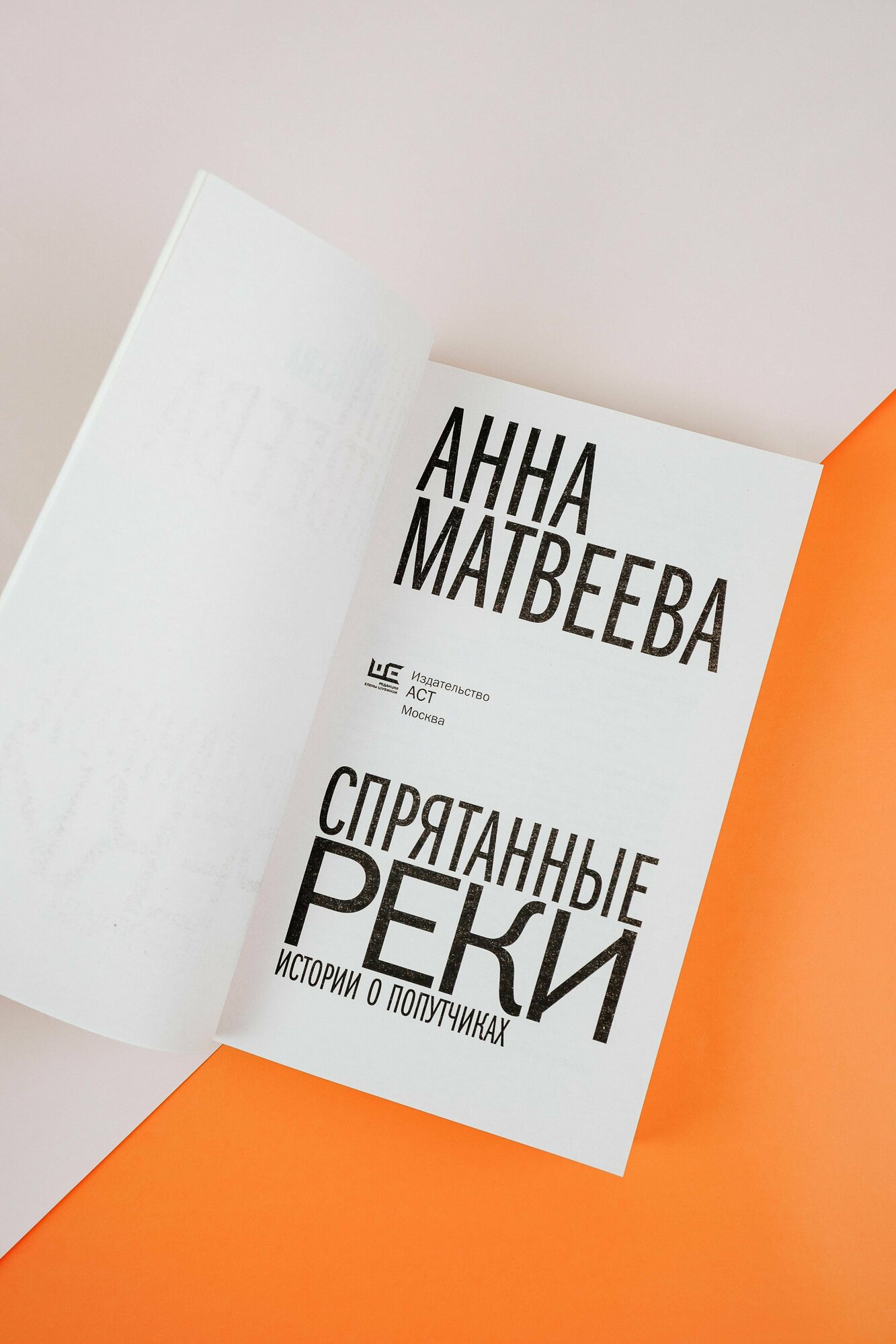 Спрятанные реки (Матвеева Анна Александровна) - фото №9